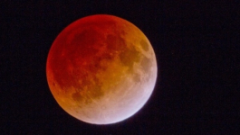 В субботу над землей взойдет «кровавая луна»
