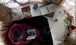 В России школьница лопатой взломала и обокрала кассу в парке аттракционов