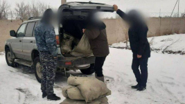 149 кг рыбы незаконно перевозил житель Павлодара