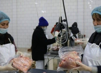 Новая фабрика по производству индюшатины сможет увеличить обеспеченность жителей Павлодарской области мясом птицы до 110%