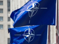 Страны НАТО приостановили практическое сотрудничество с Россией