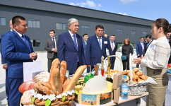 Что показали президенту в Павлодаре