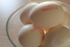 После выявления признаков ценового сговора отпускная цена на яйца 1 категории у птицефабрик Павлодарской области не изменилась