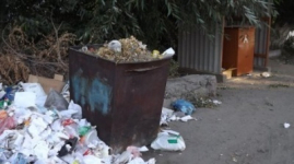 До тонны мусора в год выбрасывает семья в Павлодаре