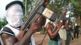 185 мирных жителей погибли в боях армии с боевиками в Нигерии