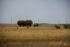 Более ста нарушений ПДД за сутки допустили водители сельхозтехники в Павлодарской области