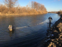 В Прииртышье спасают молодь рыб из заморных озер
