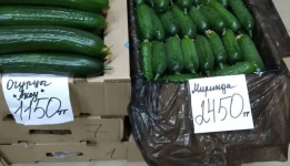 "Новогодние" цены на огурцы прокомментировал замакима Павлодарской области