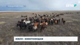 Фермеры Павлодарского района, занимающиеся разведением КРС и лошадей, бьют тревогу