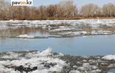 10 домов в Павлодарской области остаются в воде из-за паводка