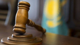Многодетную мать осудили за кражу в Павлодарской области