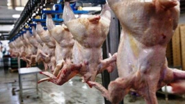 Перевозимое из Петропавловска в Павлодар американское мясо птицы задержали в Омской области