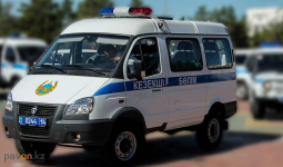 Павлодарские полицейские раскрыли серию многомиллионных краж