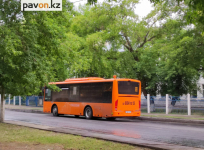 Новые оранжевые автобусы ездят по улицам Павлодара
