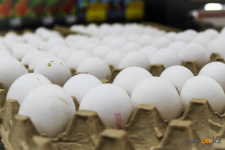 В сентябре в Павлодарской области значительно подорожали куриные яйца