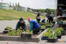 49 миллионов тенге выделяется на озеленение в Павлодаре