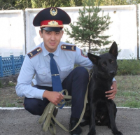 Служебная собака нашла подозреваемую в краже денег в Павлодарской области