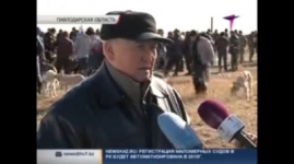 Доскалиев посетил слет разводчиков казахских борзых в Павлодарской области