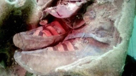 В Монголии нашли мумию в кроссовках Adidas (фото)