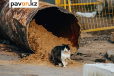 В Павлодарской области отремонтируют больше 33 километров сетей теплоснабжения