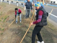 В Павлодарской области в субботник вывезли 34 тыс тонн мусора и высадили 17 тыс деревьев
