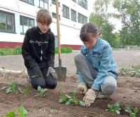 Павлодарские школьники выиграли 300 тысяч тенге, которые потратят на высадку деревьев