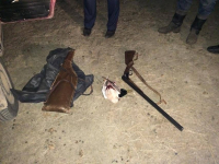 В Майском районе браконьеров, подстреливших одну утку, могут штрафовать на 200 тысяч тенге