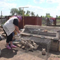 Жительница Успенского района: &laquo;Жизнь в деревне - не хуже, чем в городе&raquo;