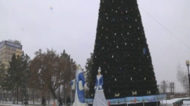 Аким Павлодарской области поручил проверить стоимость новогодней елки