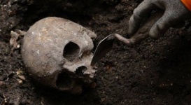 Во Франции нашли самые древние в Европе останки человека