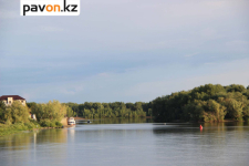 В Павлодарской области продолжают пополнять рыбные запасы водоемов