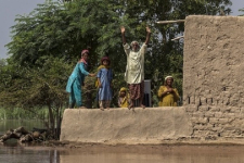 В Пакистане в результате наводнения погибли 37 человек