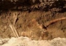 Два древних захоронения обнаружены в Павлодарской области