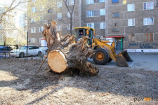 В Павлодаре целый год коммунальщики не могли убрать выкорчеванный пень