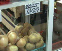 В Павлодаре картофель стоит 260 тенге