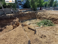 Жители очередного дома в Павлодаре пожаловались на снос деревьев во дворе ради строительства