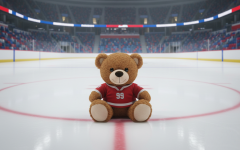 Мишкопад проведут на хоккейном матче в Павлодаре