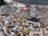 В Павлодарской области полицейские и сельчане всю ночь искали пропавшего подростка