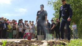 Спасатели Павлодара напомнили об опасности поджога тополиного пуха
