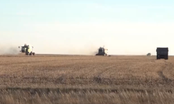 Развитие АПК обсудили в Павлодарской области