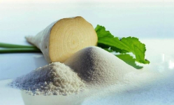 Сахарный завод планируют построить в Павлодарской области