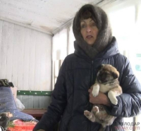Жительница Павлодара просит сохранить жизнь 15 собакам и найти им кров