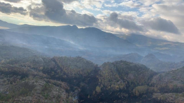 Пожар в Баянауле: огонь локализовали, работает авиатехника, более 500 человек тушат огонь