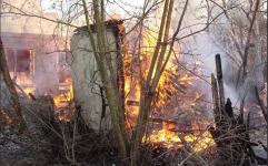 В Павлодаре сгорело четыре дачных домика