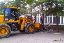 В Павлодаре пройдет экомарафон