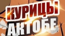 Группа в "ВКонтакте" "Курицы Актобе" довела до смерти 17-летнюю девушку