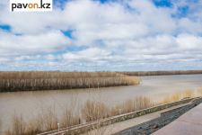 Пойма Павлодарской области затоплена на 65%