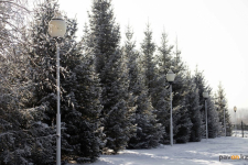 До плюсовой температуры потеплеет в Павлодаре в выходные