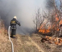 В Павлодаре опять горят дачи