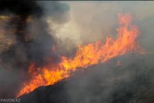 Из-за неосторожного обращения населения с огнем в Павлодаре горел камыш